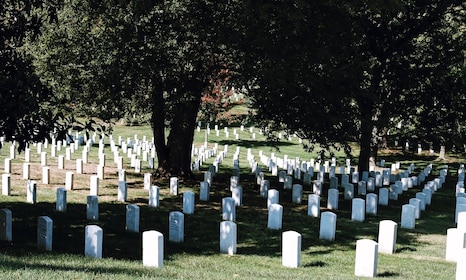 Arlington Cemetery with Expert Guide