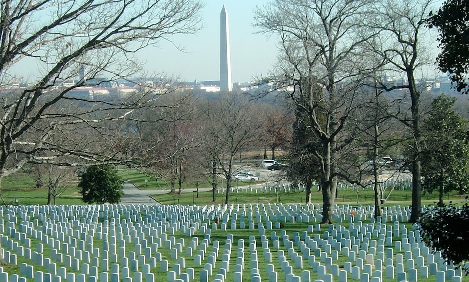Arlington Cemetery - PRIVATE TOUR with Expert Guide