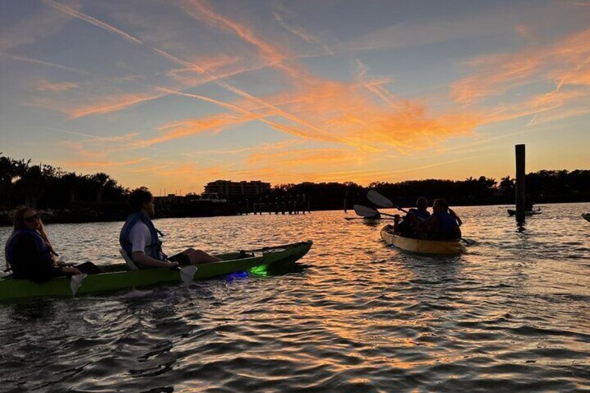 We also turn on our LED lights for the Sunset Tour which attracts fish and sea-life.