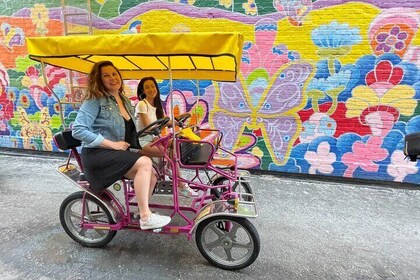 Sanford Surrey Rentals - 2 Hours - Single Bike