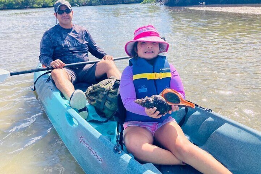Mangrove Tunnels Eco Tour (Kayak & Paddle Board)