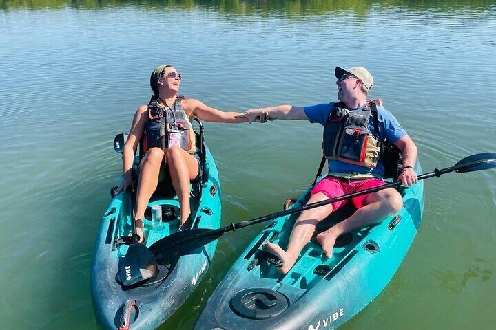 Mangrove Tunnels Kayak And Paddle Board Eco Tour