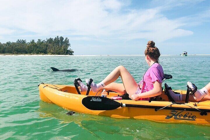 Easy Ride Pedal Kayak Tour Marco Island & Naples
