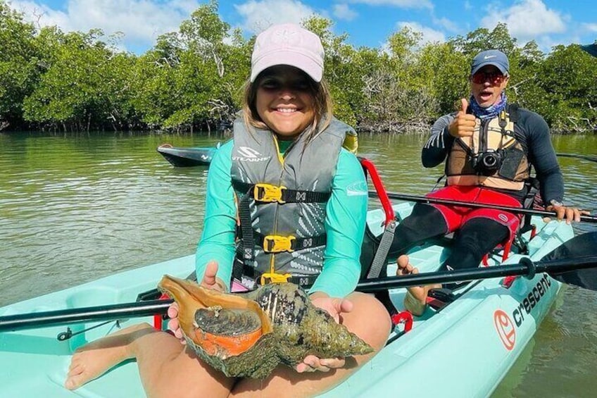 Mangrove Tunnels Eco Tour (Kayak & Paddle Board)