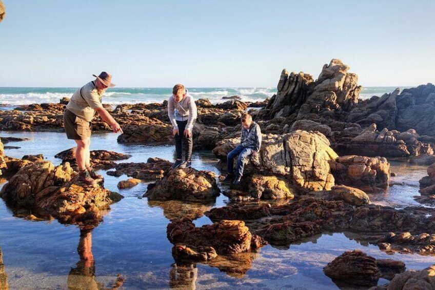 Tidal Pools, children are welcome.