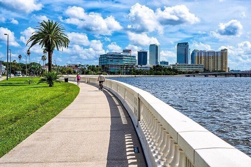 Visit the pinnacle Bayshore Blvd, the longest continuous sidewalk in all of America. 