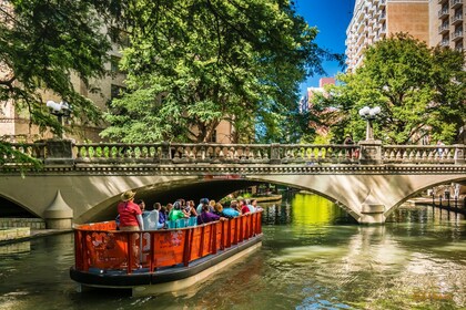 Tur Terbaik dari San Antonio dari Austin Texas