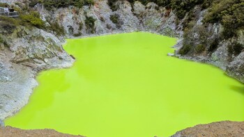 Wai-O-Tapu Geothermal Geyser Wonderland Morning Tour