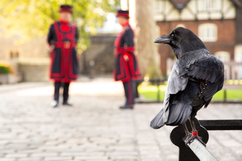 Tower of London Early Morning Tour with a Beefeater Guard