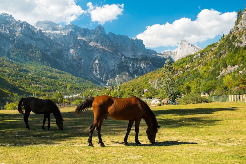 Daily tour from Shkodër: Bogë - Theth