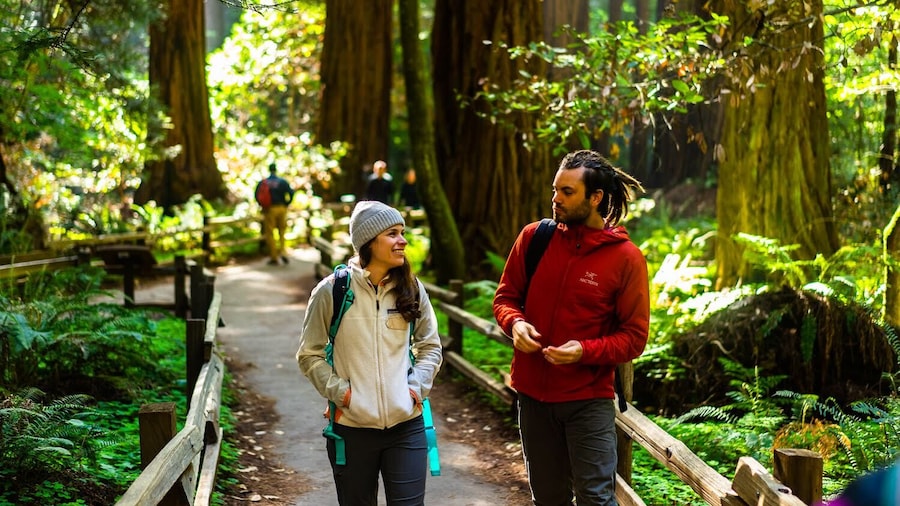 Muir Woods and Sausalito 1/2 Day Tour