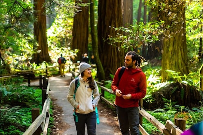 Muir Woods en Sausalito 1/2 dag tour (kleine groep)