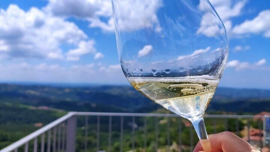 Panoramic Sightseeing Tour with Aperitif