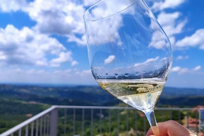 Panoramic Sightseeing Tour with Aperitif