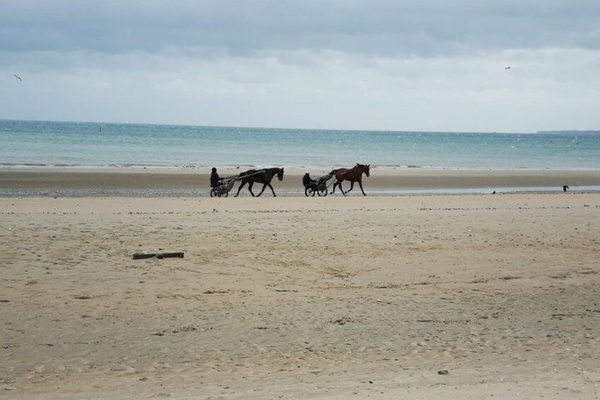 Normandy Beaches Half-Day Trip from Bayeux