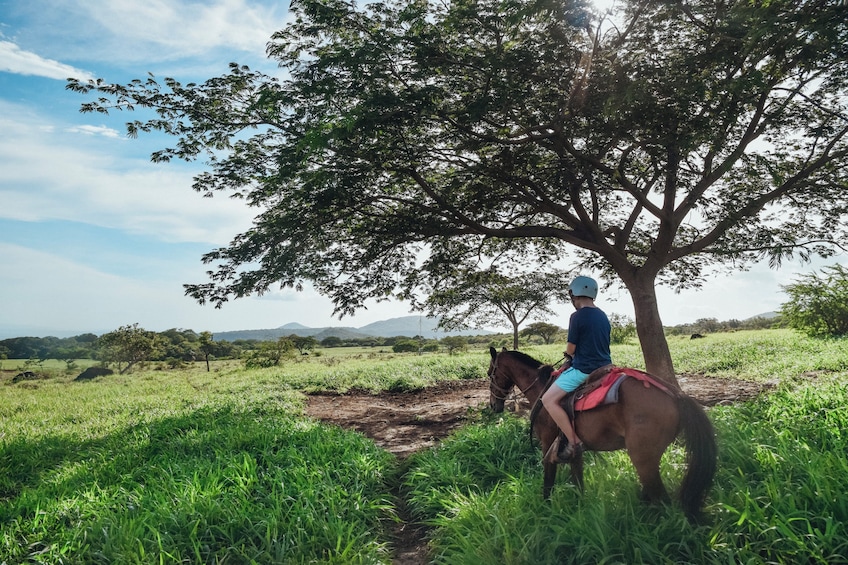 Guachipelin Volcano Adventure Combo Zipline Tubing Horseback Hot Springs