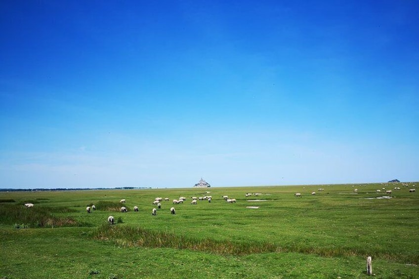 Mont Saint-Michel Day Trip from Bayeux