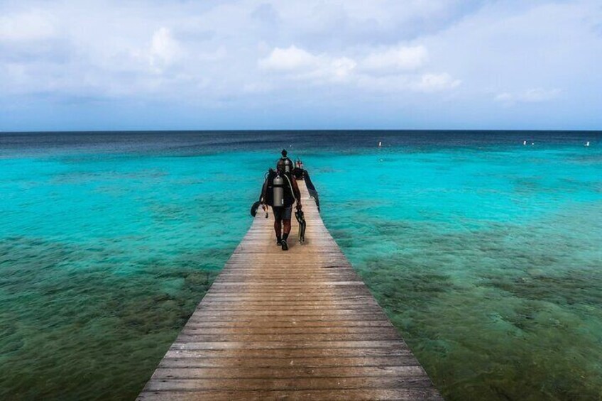 Half Day Private Scuba Diving Adventure From Willemstad