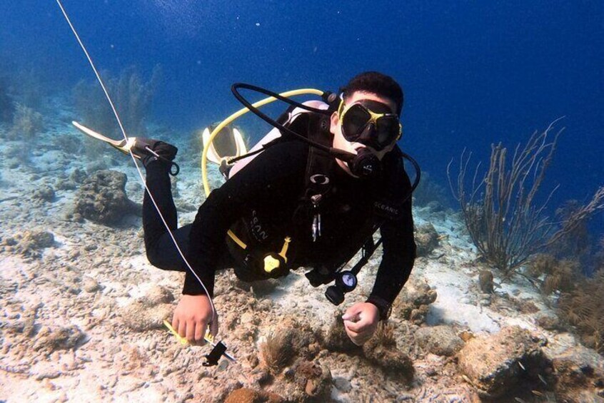 Half Day Private Scuba Diving Adventure From Willemstad