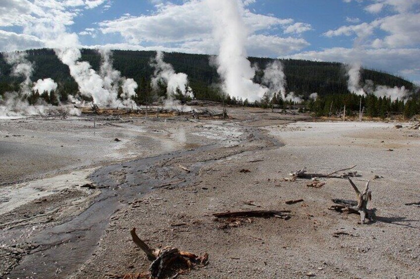 Private Yellowstone Lower Loop Adventure All-Day Tour with Lunch - Iconic Sites