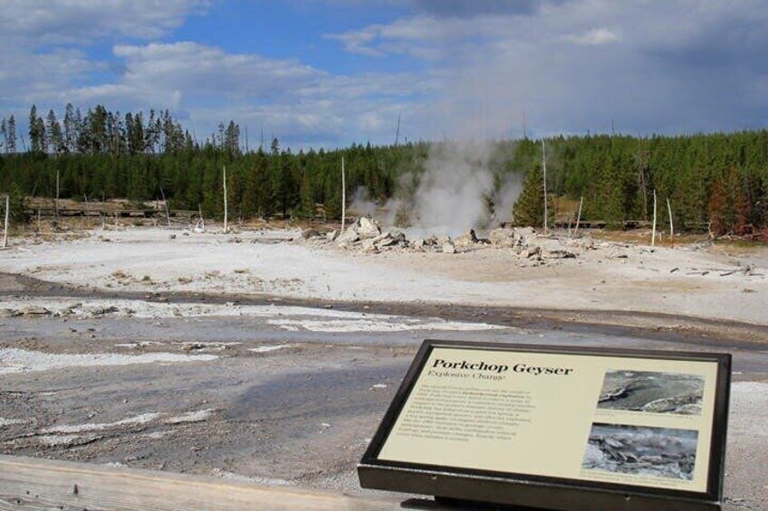 Yellowstone Lower Loop All-Day Tour with Lunch