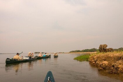 Zambezi Private Classic Long Canoe Safari