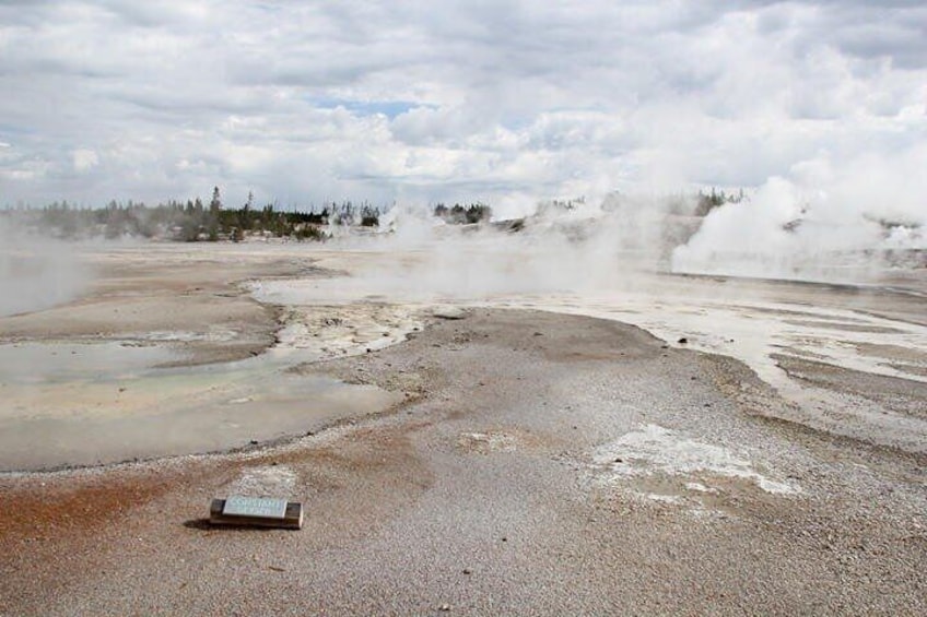 Yellowstone Lower Loop Geothermal Full-Day Private Guided Tour