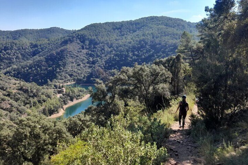 Hike to Spectacular Lookout of Órganos de Benitandús