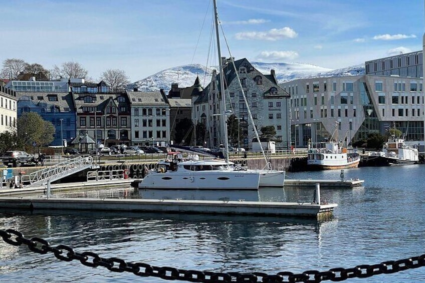 Private VIP Northern Light Safari with Exclusive Catamaran in Tromso