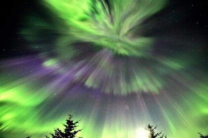 Northern Light Safari with Luxury Yacht-Small group & Local guide