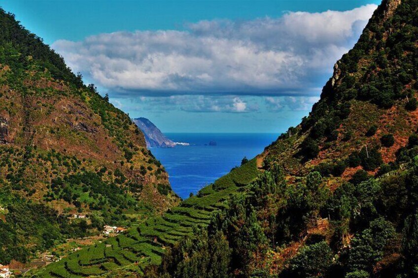 Madeira Island Private Wine Full-day Tour in Open Top 4WD