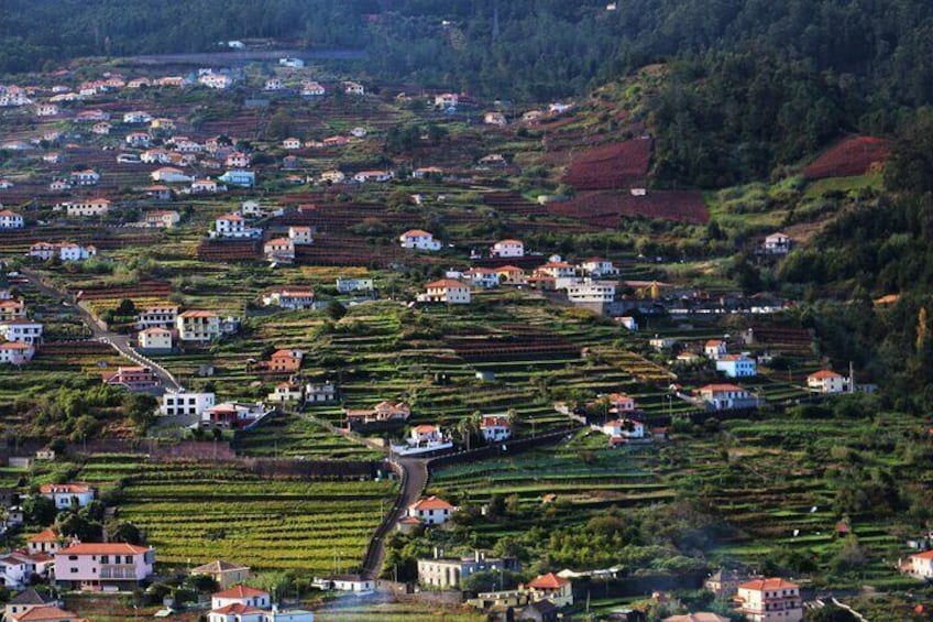 Madeira Island Private Wine Full-day Tour in Open Top 4WD