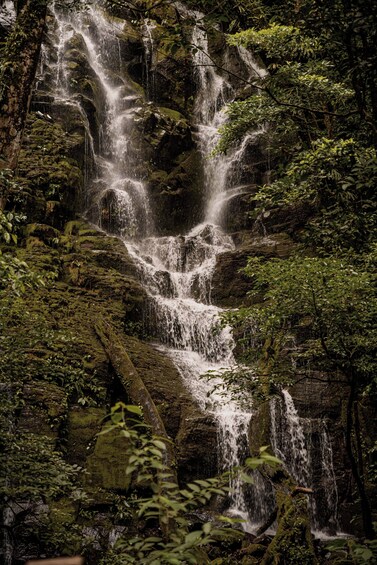 Volcano Hike, Waterfall & Hot Springs on Rincon de la Vieja