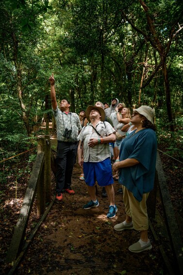 Volcano Hike, Waterfall & Hot Springs on Rincon de la Vieja