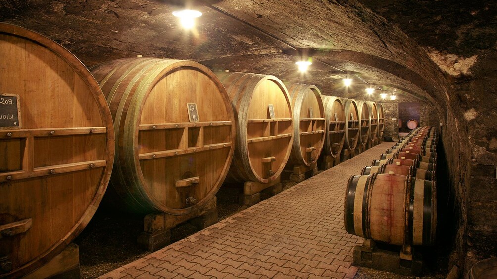 Wooden barrels on a tour in Modena