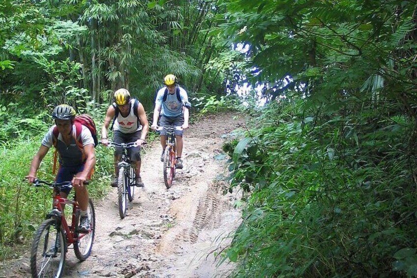 Highlanders Route Advanced Mountain Bike Tour in Chiang Mai
