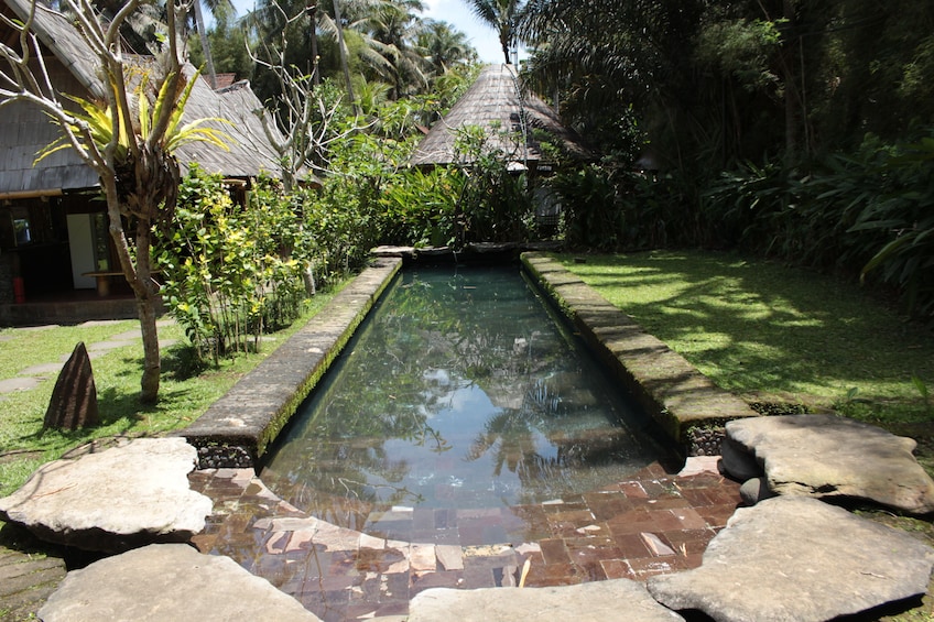 Sustainability Bali’s Green Village Tour