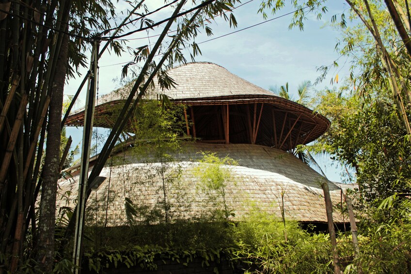 Sustainability Bali’s Green Village Tour