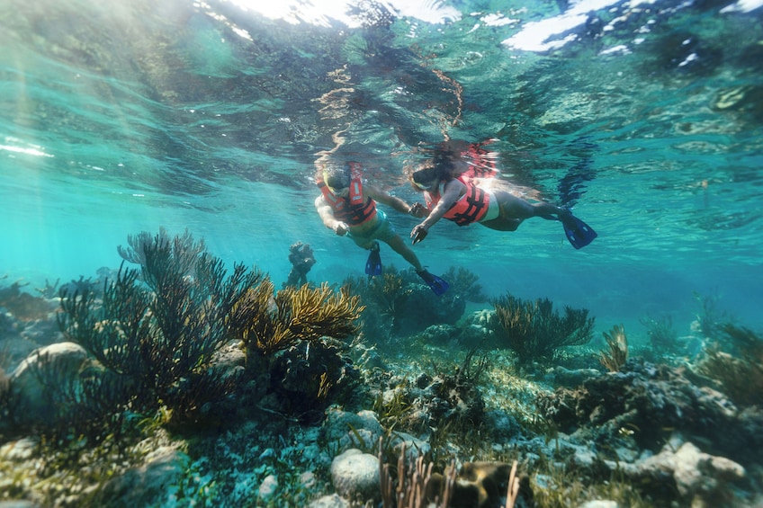 Reef Snorkeling in National Park from Cancun with Beachside Lunch