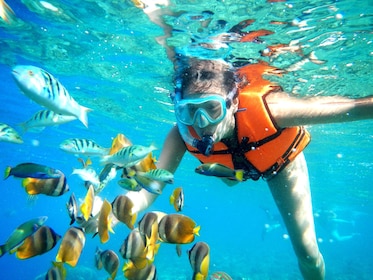 Snorkel Platinum Puerto Morelos van Extreme Adventure
