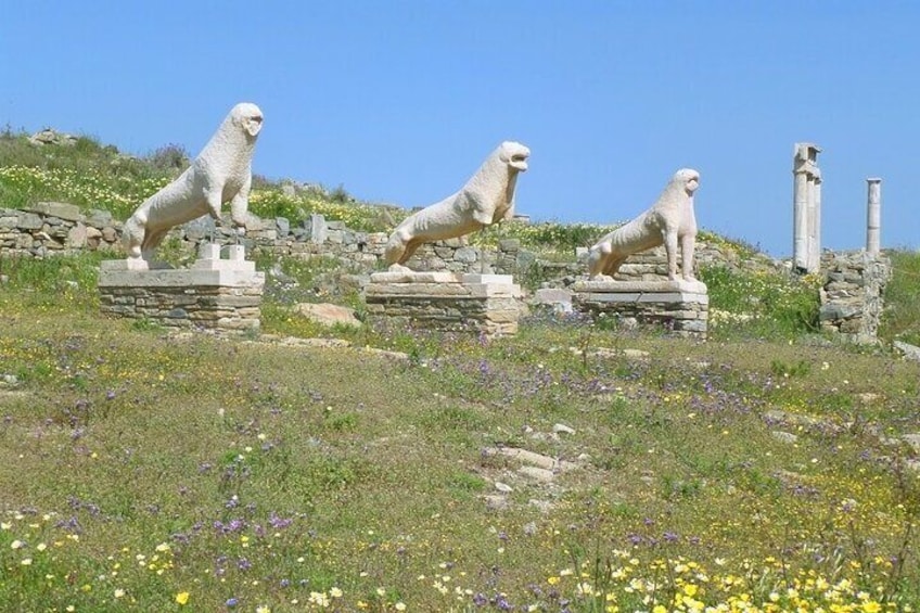Explore Αncient Island Of Delos Tour