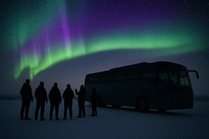 Northern Lights Hunt