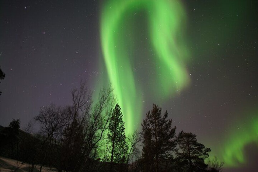 Small-Group Northern Lights Dancing Across the Sky Tour in Alta