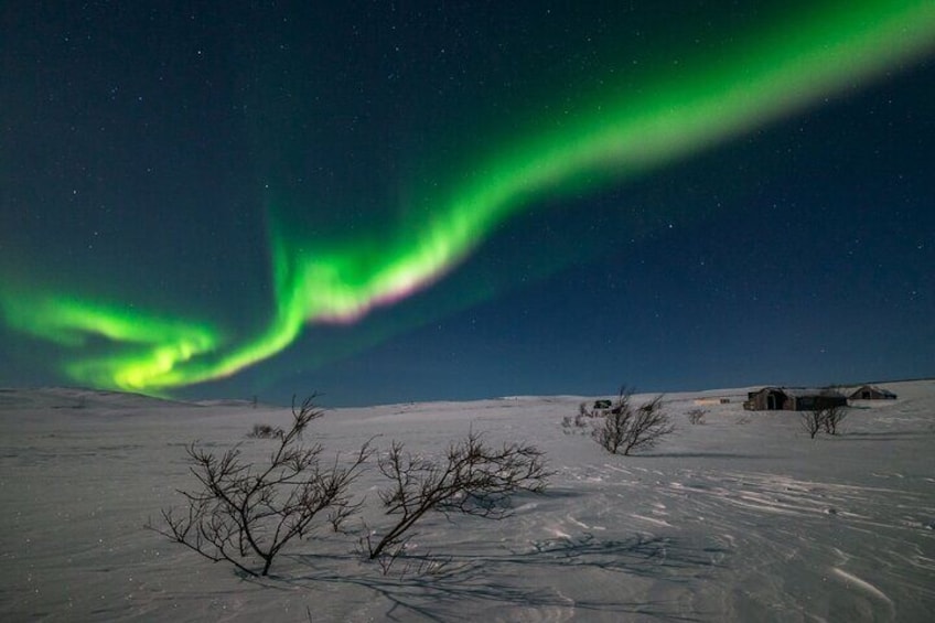 Small-Group Northern Lights Dancing Across the Sky Tour in Alta