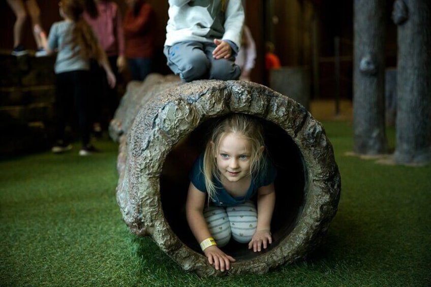 Artificial grass area designed for the youngest adventurers. Climb through tree house tunnels and on top of tree stumps.