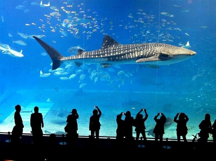 Sealife Bangkok + Madame Tussauds Bangkok