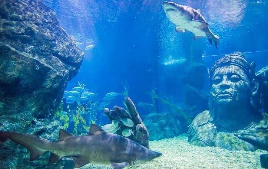 Sealife Bangkok + Madame Tussauds Bangkok