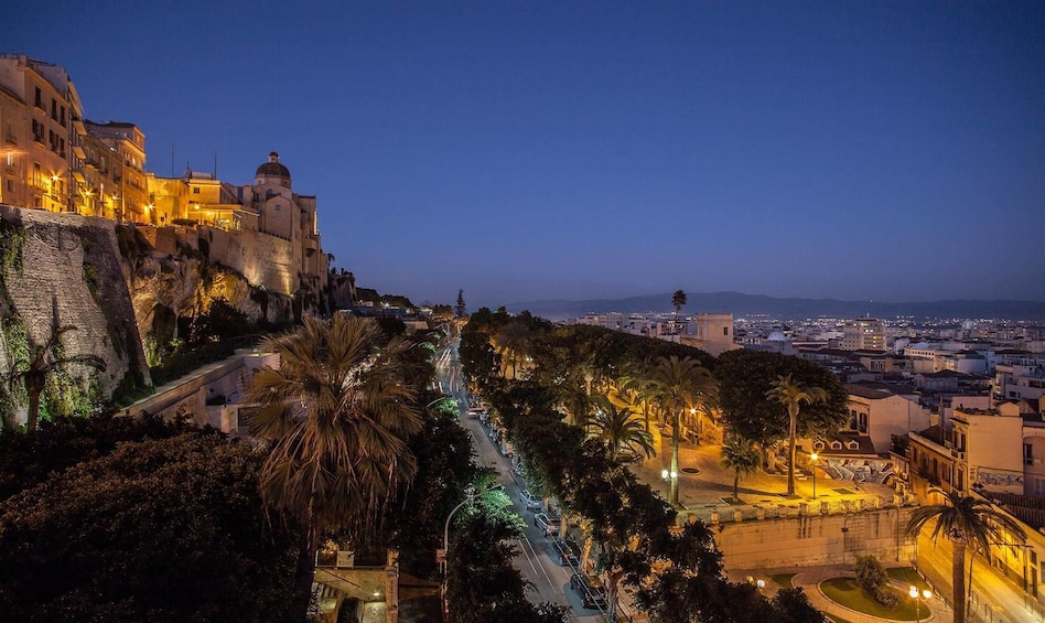 Show item 3 of 7. Cagliari at night