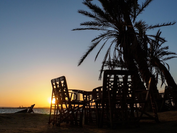 5 Days Trip To Siwa and Bahariya Oasis
