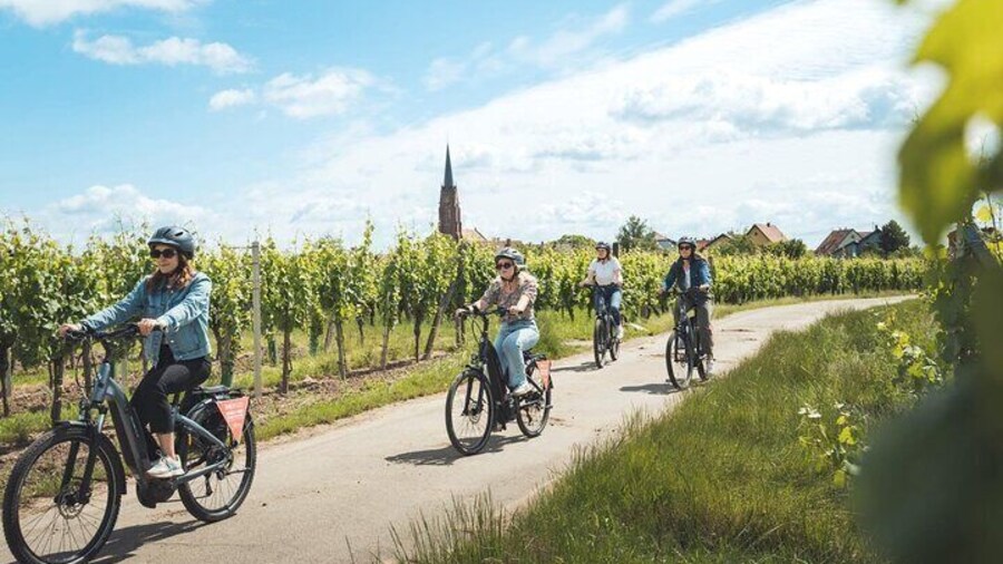 Cycling on the Alsace Wine Route